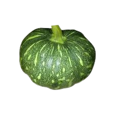 Pumpkin Green Cuts